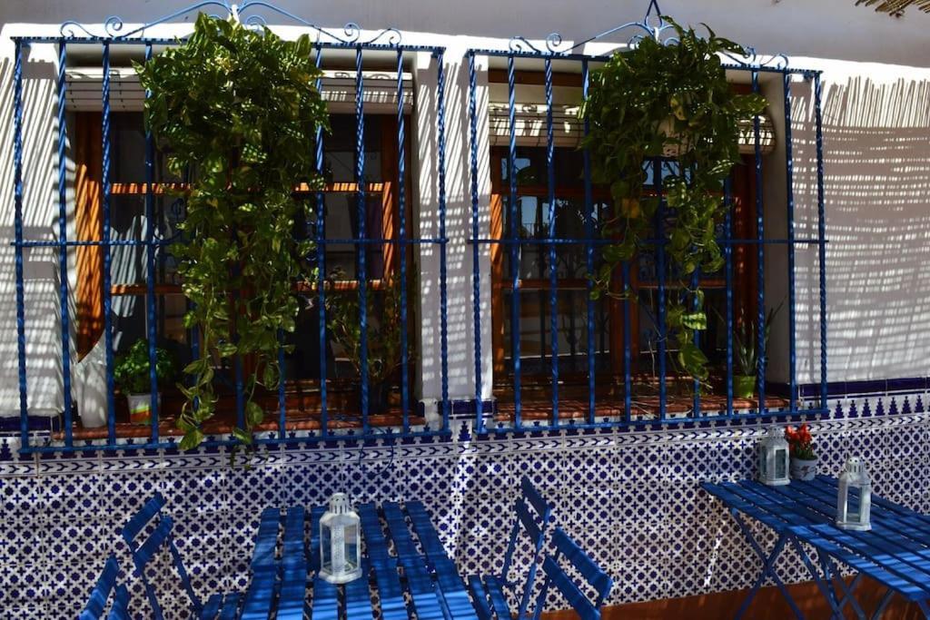 Apartamento En Sevilla Centro Con Vistas A La Plaza Alameda De Hercules - Hasta 7 Personas Exterior photo